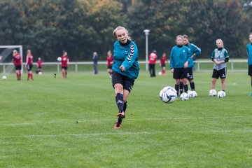 Bild 147 - Frauen TSV Sch�nberg - SV Henstedt Ulzburg 2 : Ergebnis: 2:6
